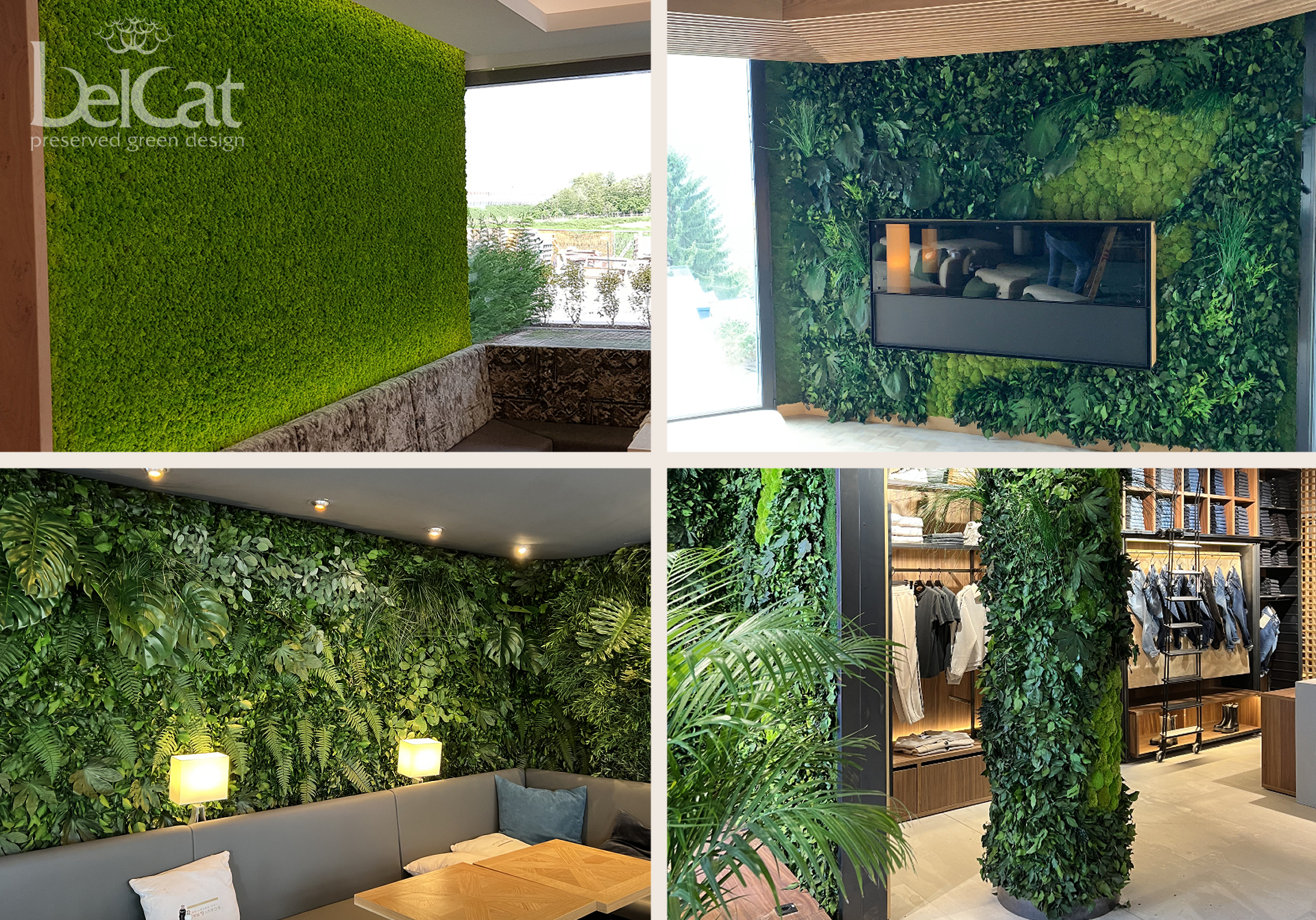 Preserved Green Walls