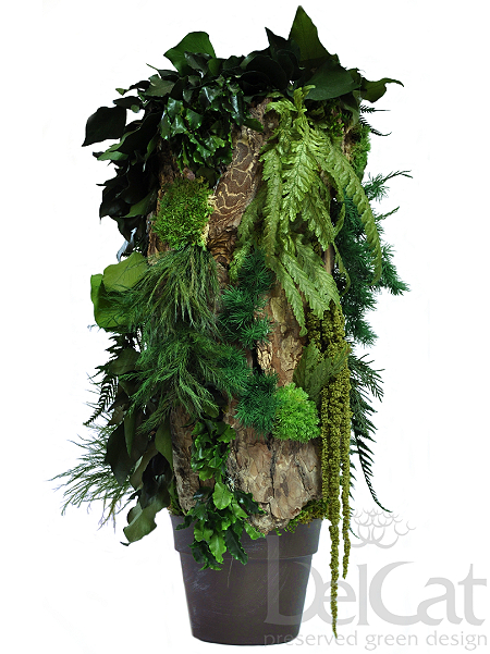 Totem Forest