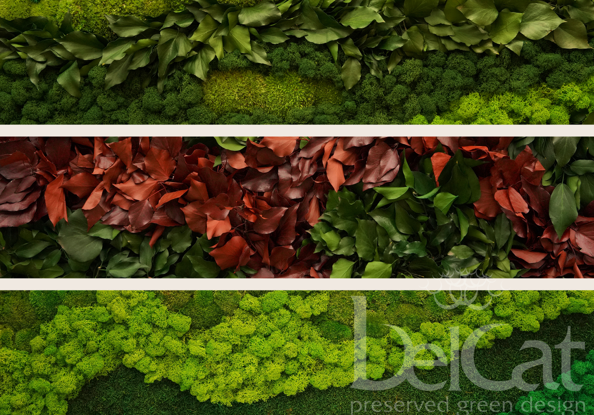Green Framed Art