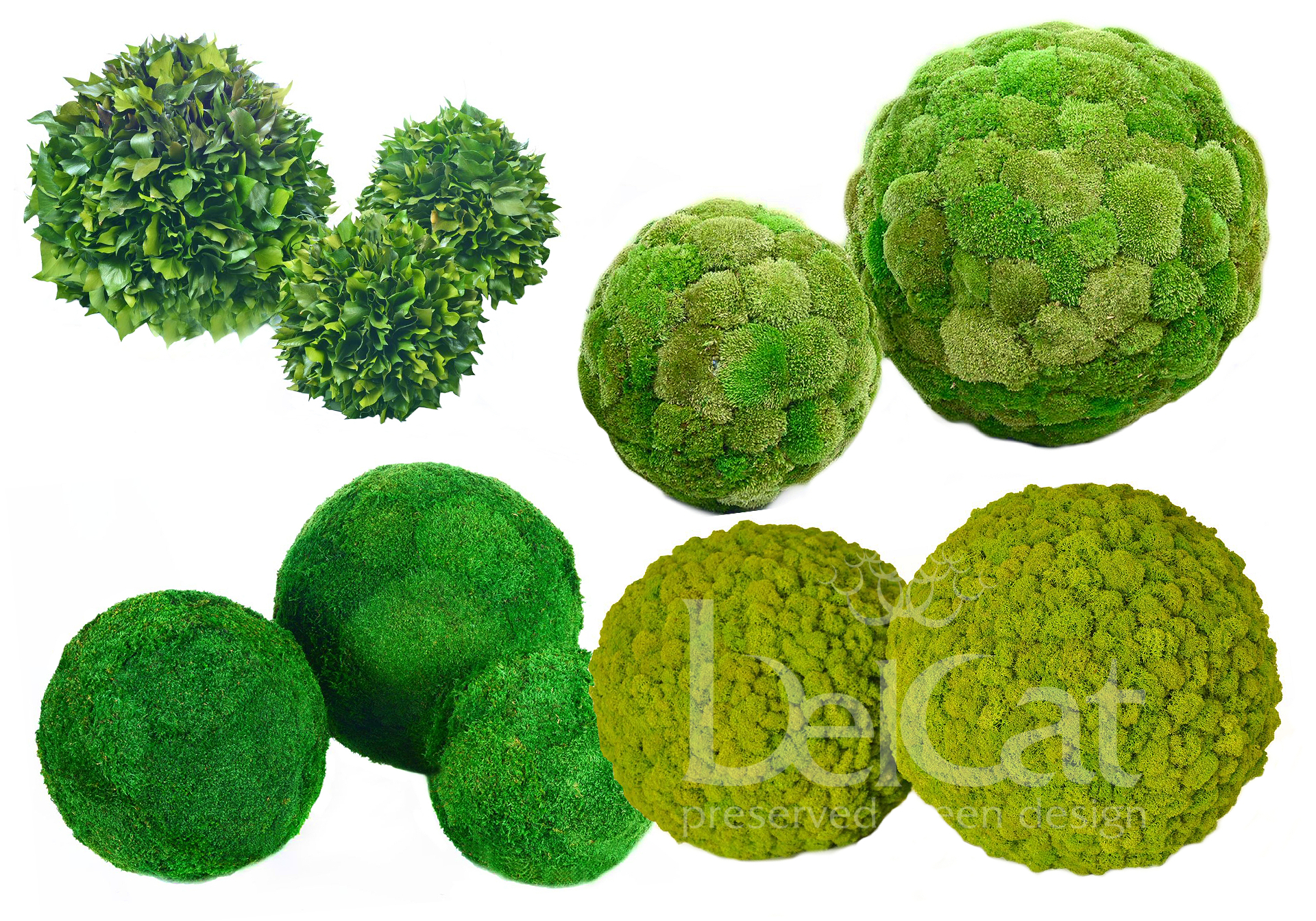 Decorative Elements