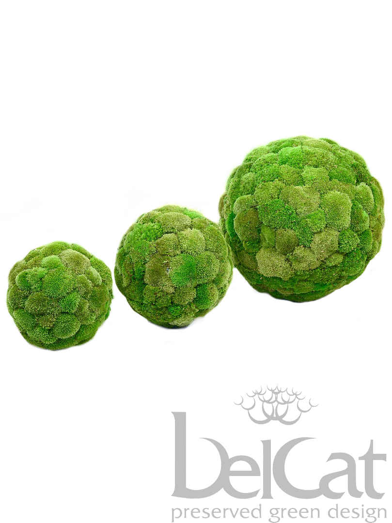 Polemoss Sphere