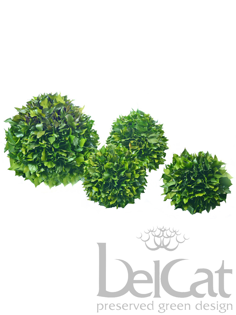 Hedera Sphere