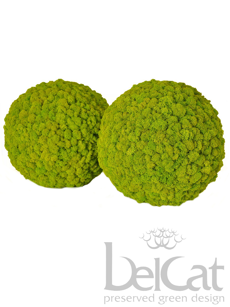 Lichen Sphere