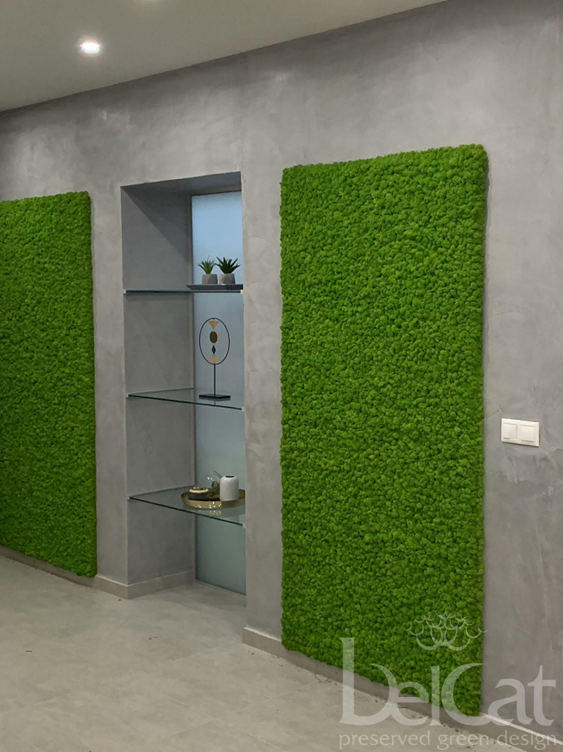  Tartósított Zuzmó Fal