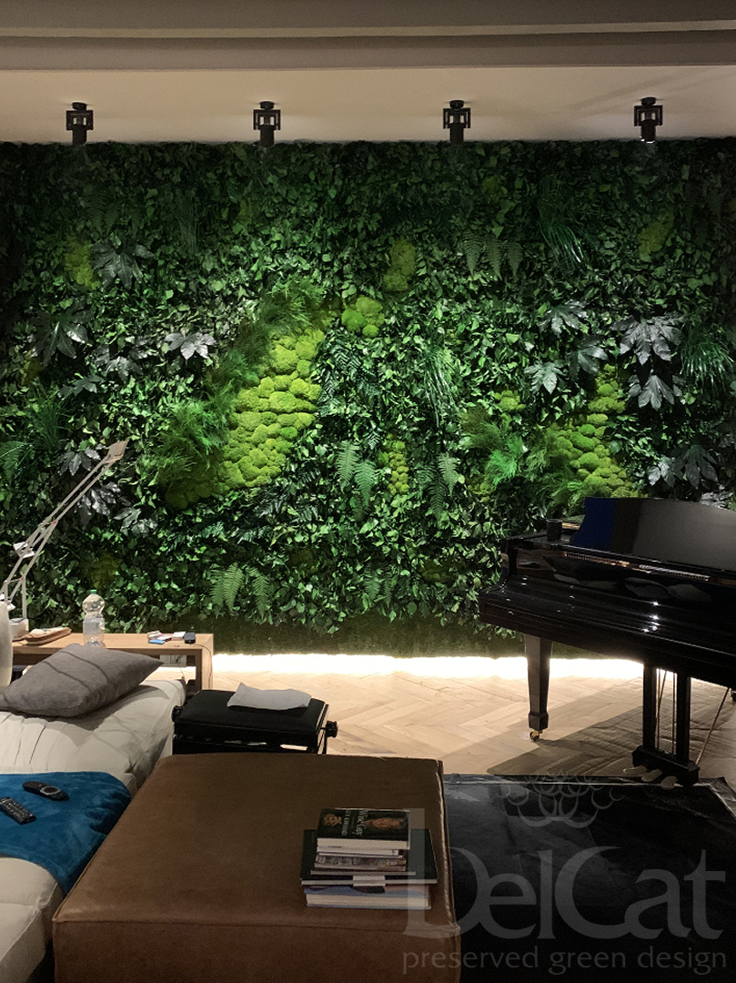 Tartósított "Erdő" Növényfal