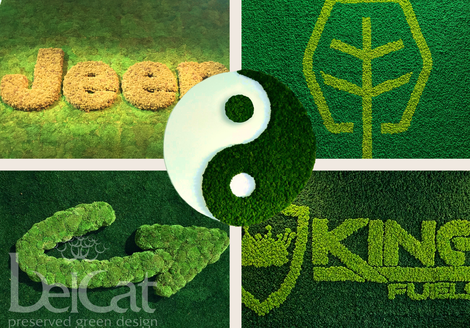 Logo Design Solutions